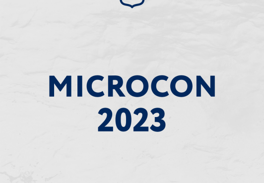 Микрокон 2023